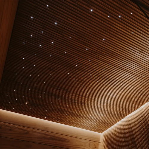 LED Zvaigžņotā debess komplekts, saunām, bērnu istabām, vanas istabām, 12 gaismekļi, 3000K, IP54, 70°, zelts korpuss