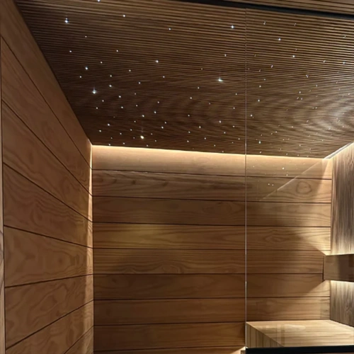 LED Zvaigžņotā debess komplekts, saunām, bērnu istabām, vanas istabām, 12 gaismekļi, 3000K, IP54, 70°, zelts korpuss