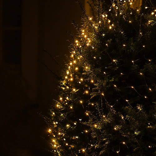 Viedā kontaktligzda 230V, IP20, 10A, SMART+ WIFI Matter spraudnis