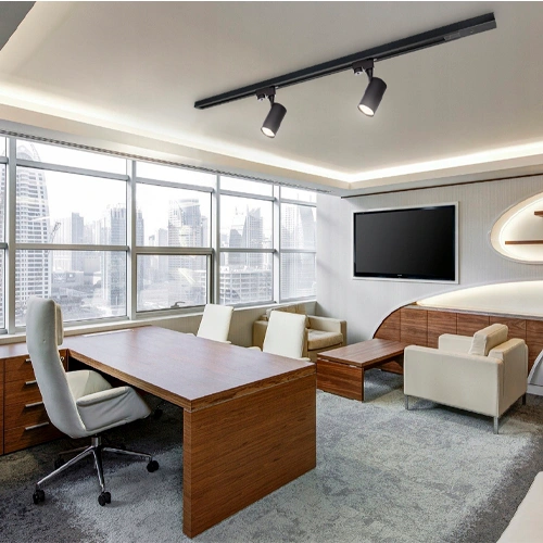 Rail light ELION, 1F, excl. GU10, max 35W, IP20