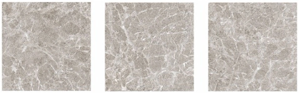 Glancētas flīzes PAXOS DARK GREY, 60x60 cm, TS