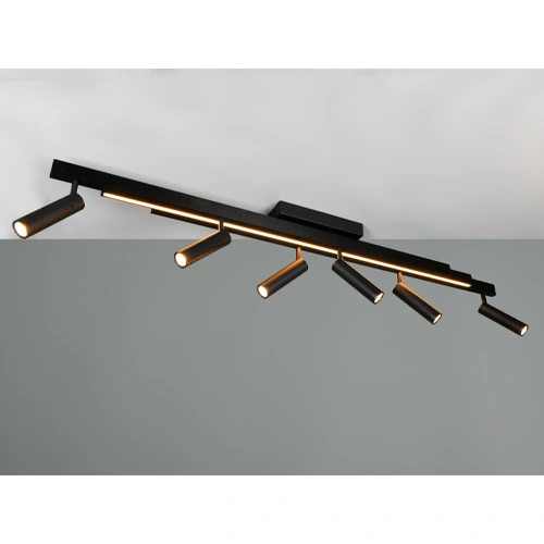 LED Griestu lampa ar pulti ZENO, 6x5.5W, 1x18W, 2700-6500K, 6x650Lm, 1x2200Lm