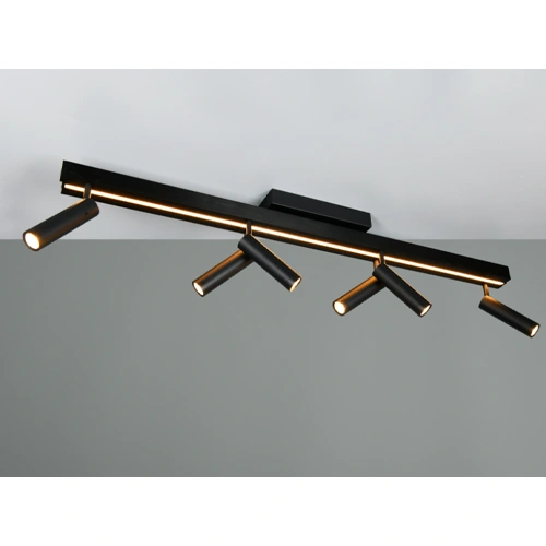 LED Griestu lampa ar pulti ZENO, 6x5.5W, 1x18W, 2700-6500K, 6x650Lm, 1x2200Lm