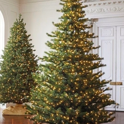 LED Ziemassvētku diožu virtene 200m uz vara stieples RASA ar pulti, 2000LED, silti balta, IP44