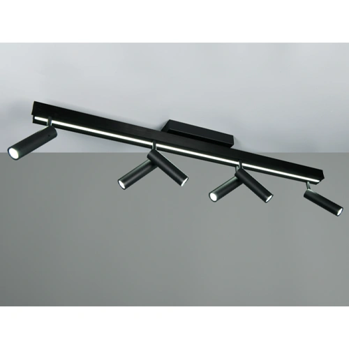 LED Потолочный светильник с пультом ZENO, 6x5.5W, 1x18W, 2700-6500K, 6x650Lm, 1x2200Lm