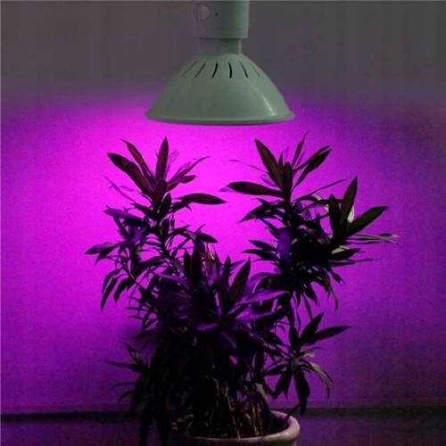 LED Fito gaismeklis ar klipsi augiem un stādiem 20W, 900Lm, 200LED