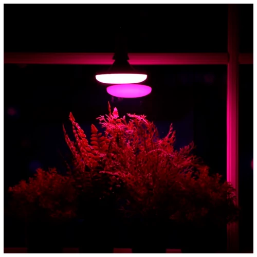 LED Fito spuldze UFO priekš augiem 15W