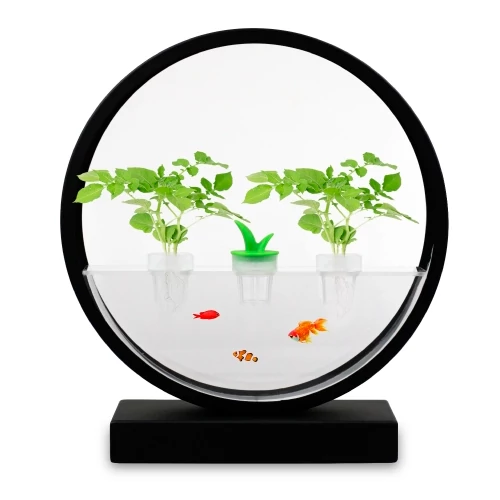 Fitolampa augiem un stādiem dažādām augšanas fāzēm