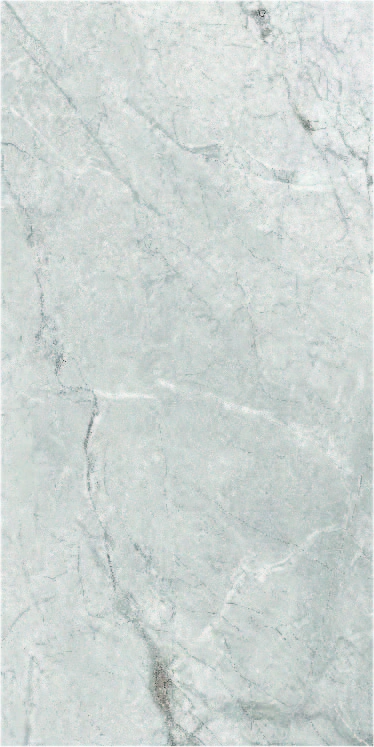 Matētas flīzes ZORRANI GREY CARVING, 60x120cm, PR