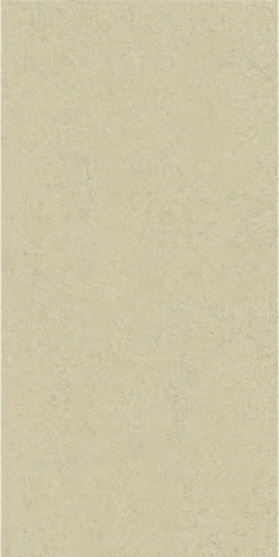 Matētas flīzes LIMESTONE CREMA, 60x120cm, PR
