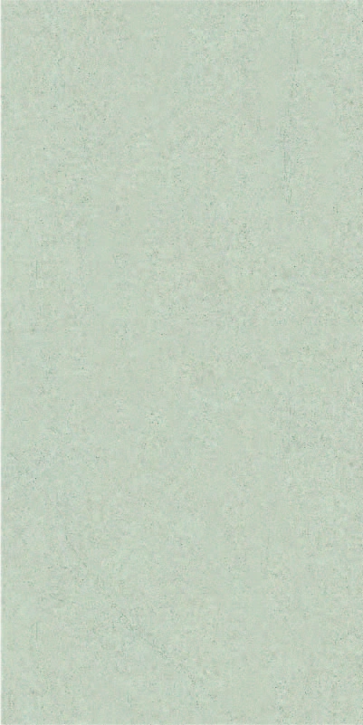Matte tiles LIMESTONE GREY, 60x120cm, PR